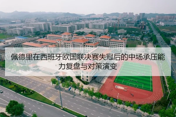 佩德里在西班牙欧国联决赛失冠后的中场承压能力复盘与对策演变