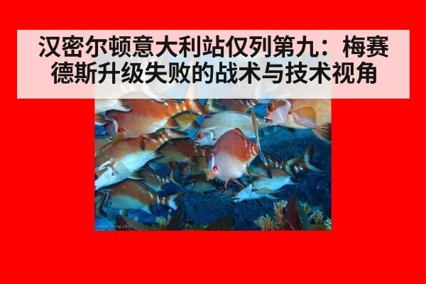 汉密尔顿意大利站仅列第九:梅赛德斯升级失败的战术与技术视角